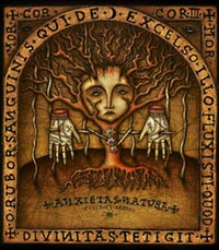 "Nature's Anxieties" "Nature's Anxieties"