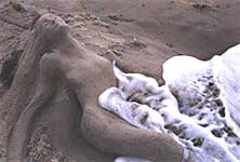 Sand Sculpture Sand Sculpture